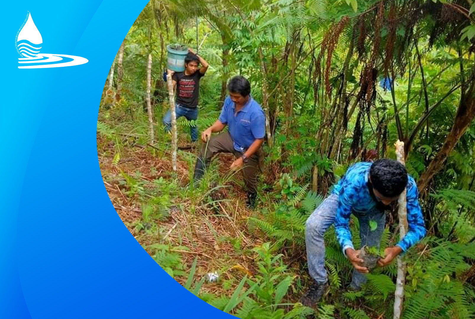 World Rainforest Day at Arbor Day Sabay na Ipinagdiwang ng MKWD