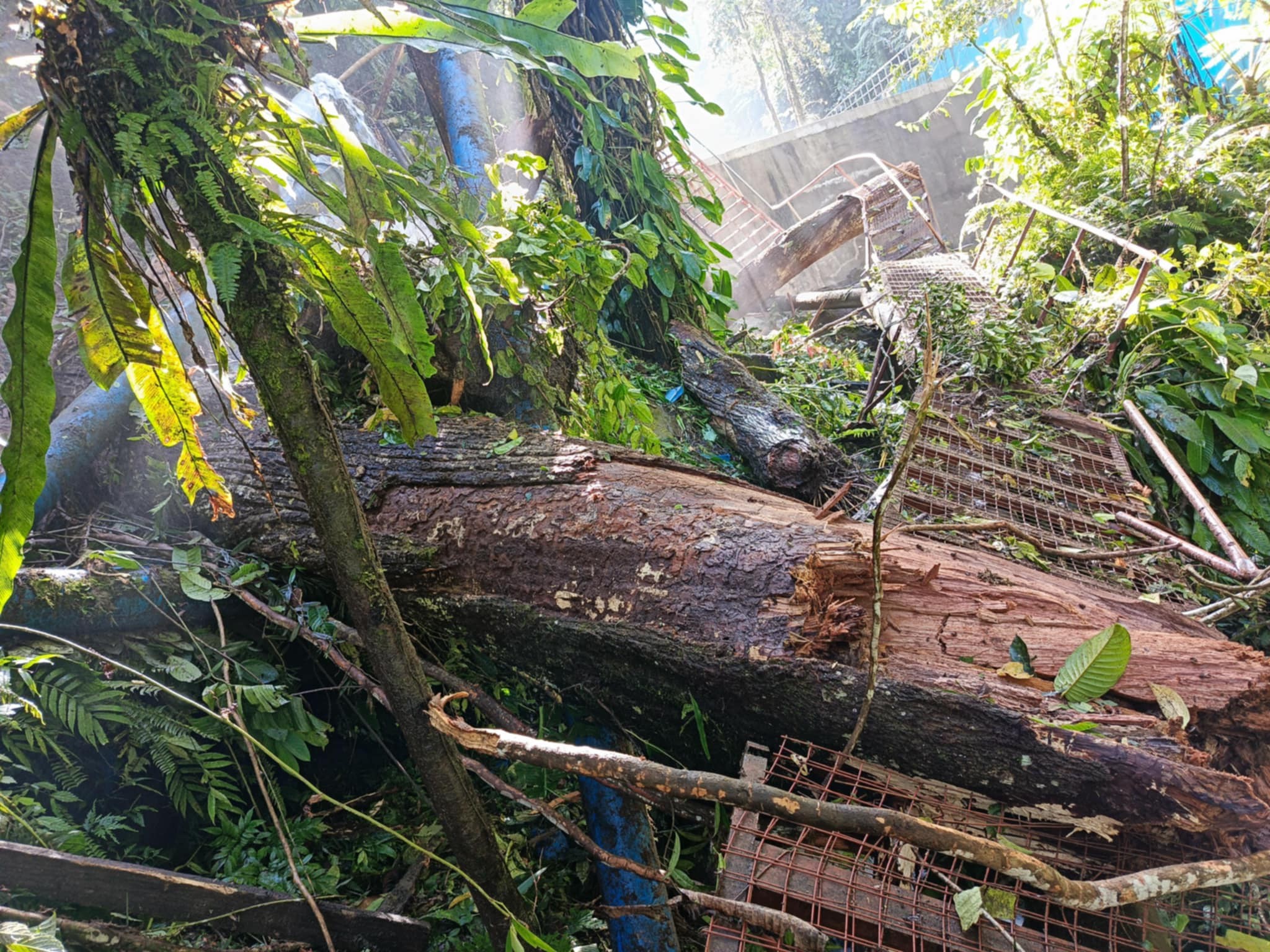 Read more about the article LAPAAAN TRANSMISSION LINES ADVISORY